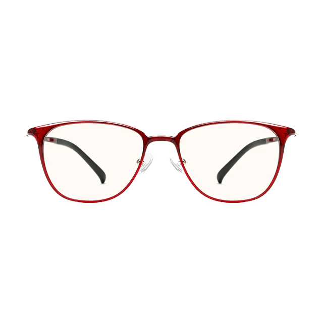 TS Computer Glasses